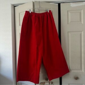 Red Corduroy Pants Shiny by Nature XL